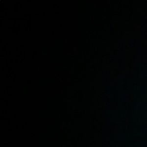 Meet your Posher, Brady